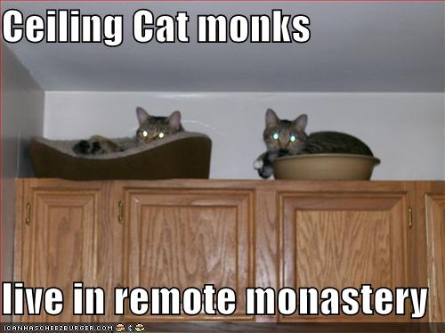 celing-cat-monks.jpg