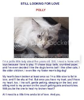 pollyforadoption.jpg