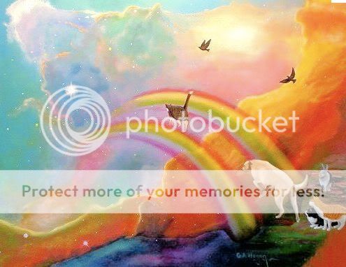 Rainbowbridgepix.jpg
