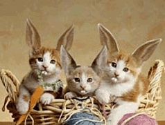 moving-animated-Easter-kitty-cats-bunny-ear-kittens.gif