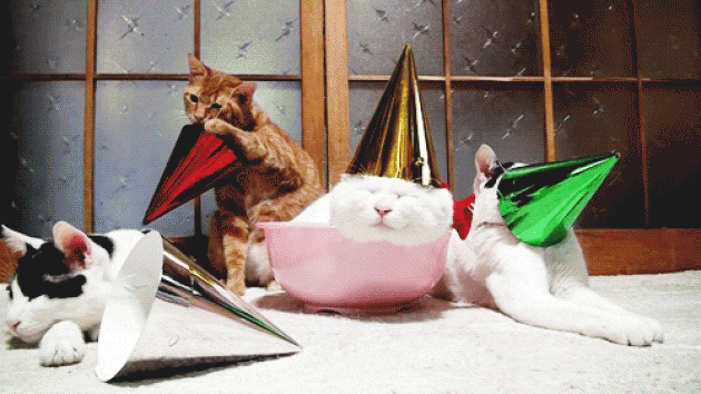 tumblr_mw2lb85nrp1shf8zxo7_1280.gif