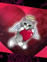 Cat-Angel-Heart_t.jpg