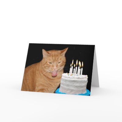funny_cat_birthday_card-p137322875021909714q0yk_400.jpg