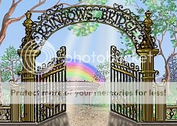 gate_pic_1198.jpg