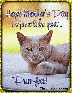 PurrfectMothersDay.gif
