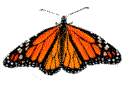 cardinal.gif