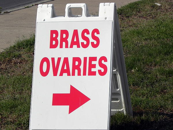 brass-ovaries-vickie-judkins.jpg