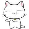 cat.gif