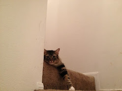 Uj1nT6C2h5Sm47JfMwJkhy1_nOpvtH5gsn5-1QurEuc=w248-h186-p-no