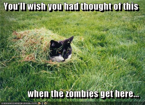zombie-cat-3.jpg