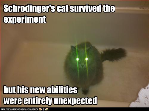 funny-pictures-cat-survived-experiment.jpg