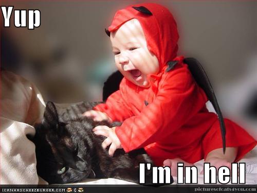 funny-pictures-black-cat-devil-baby.jpg