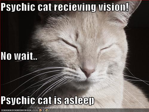 Psychic+cat.jpg