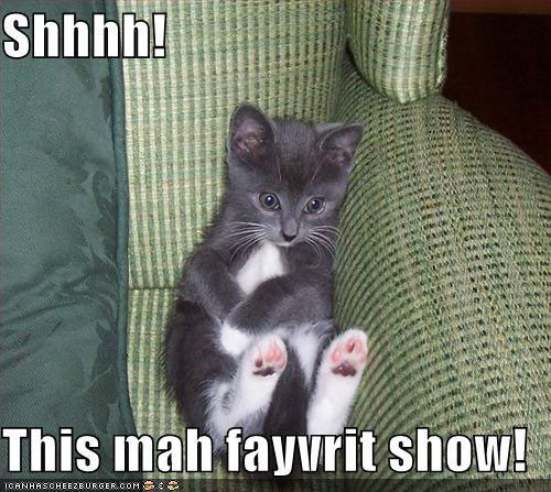 CatWatchingTV.jpg
