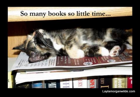 kitten_reading_books-778729.jpg