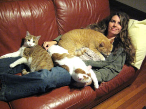 oh_noes__another_kitteh-300x225.jpg