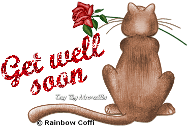 GetWellSoonCatRose.gif