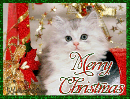 merry-christmas-kitten.gif