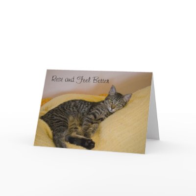 get_well_cat_card-p137301243711425127zv2h8_400.jpg
