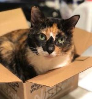 upload_2022-6-30_13-15-3-jpeg.64667