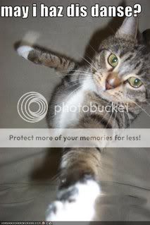 funny-pictures-cat-asks-for-a-dance.jpg
