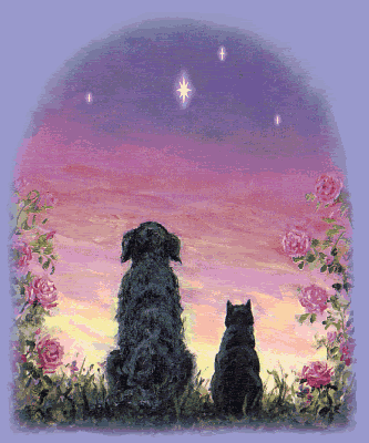 animated_dog_and_cat_memorial.gif