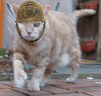General%20Noisy.gif