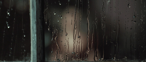 14266959.gif