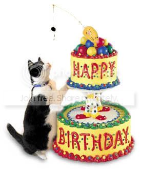 happy-birthday-cat.jpg