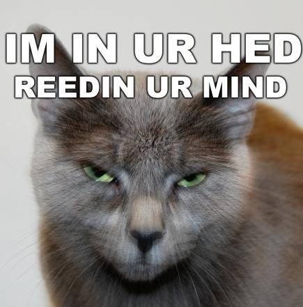 LOLCAT__psychic_by_Mjag.jpg