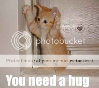 kittah_hug.jpg