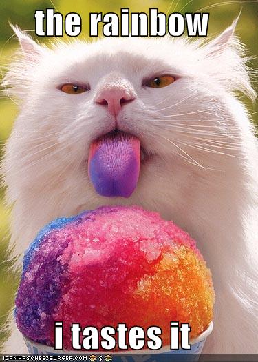 funny-pictures-snow-cone-cat-tastes-the-rainbow.jpg