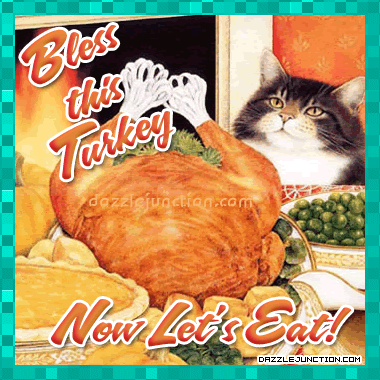 cat-bless-turkey.gif