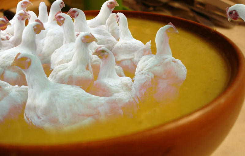 Chicken_Soup_by_quartertofour.jpg