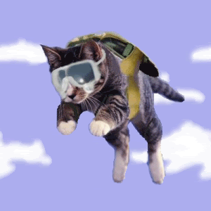 catfall.gif