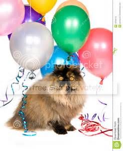 partycat.jpg