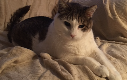 sweetheart-png.36883