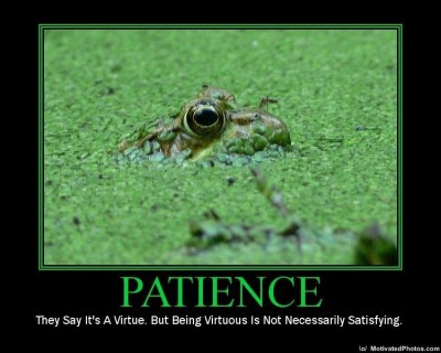 patience-400x320.jpg