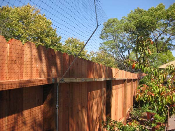 08%2009%2022%20catfence_backstretch.jpg