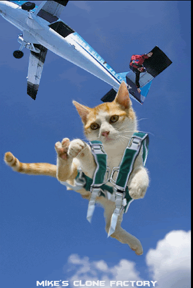 Danger-Cat-Parachute-GIF-1.gif
