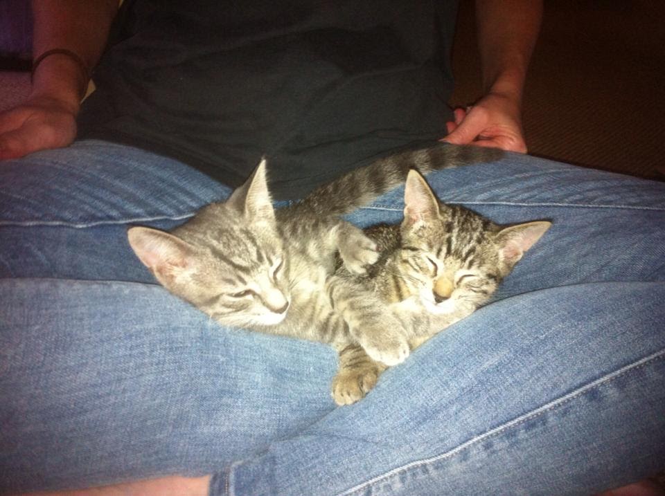 wAfmjLmWN_sm1cFZBZRbNxAjyfCy4lk3SN32hxvbeFo=w960-h717-no