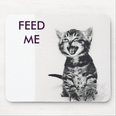 hungry_cat_mousepad-p144975781266165492z8xsj_400.jpg