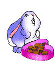 Animated-bunny-eating-chocolate.gif