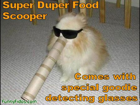 funny-dog-super-duper-food-scooper2.jpg