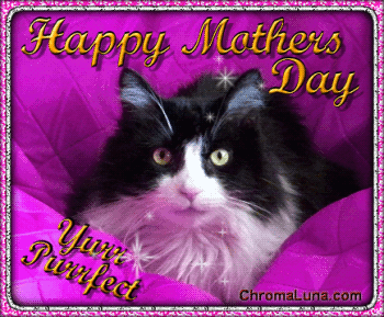 MothersDay_Cat.gif