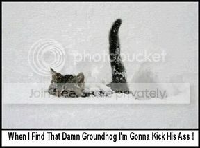 Catvsgroundhog_zps5e5b83b6.jpg