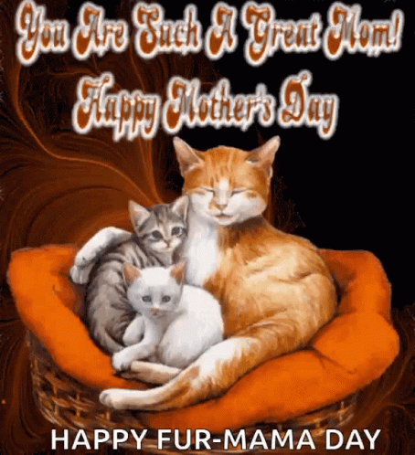 fur-mama-happy-mothers-day.gif
