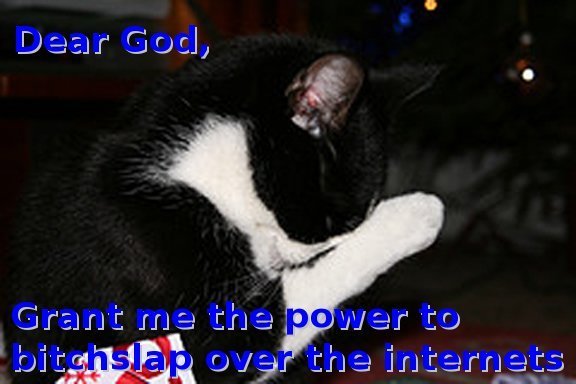 prayer_bitchslap_cat.jpg