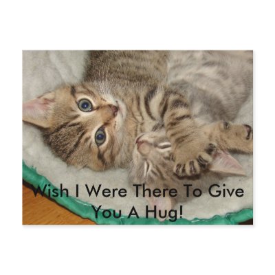 give_a_hug_kitty_postcard-p239328104232998952qibm_400.jpg