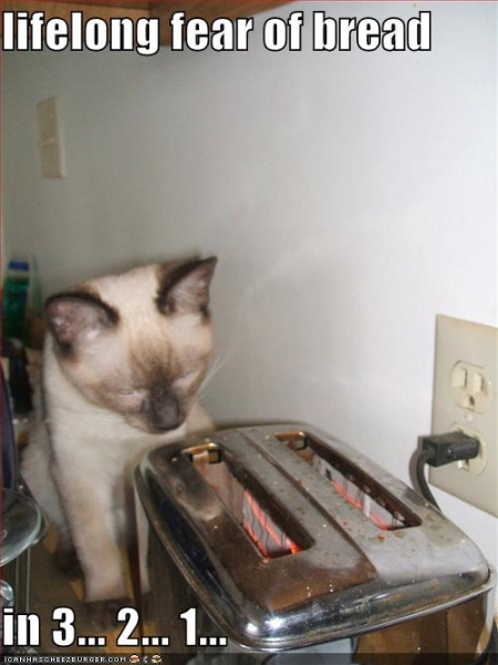small_lifelong%20fear%20of%20bread.jpg
